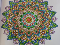 whatsapp bild 2024-07-15 um 13.34.16_457a59fd